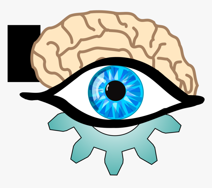 Transparent Brains Clipart, HD Png Download