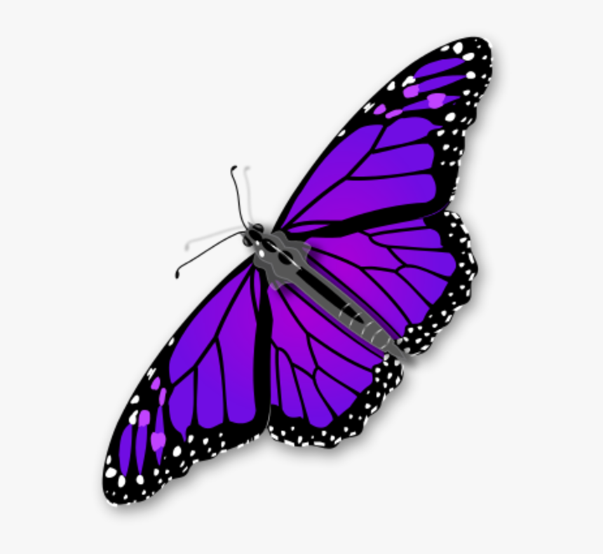 Purple Butterfly Png - Monarch Butterfly Transparent Background, Png Download