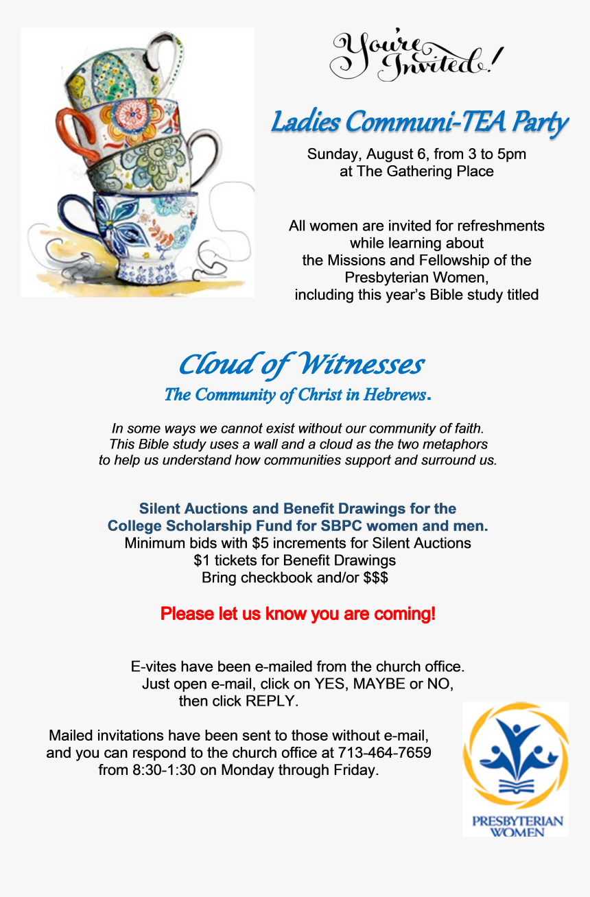 Teacup, HD Png Download