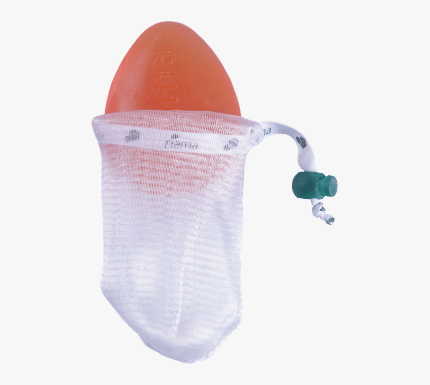 Transparent Loofah Clipart - Plush, HD Png Download