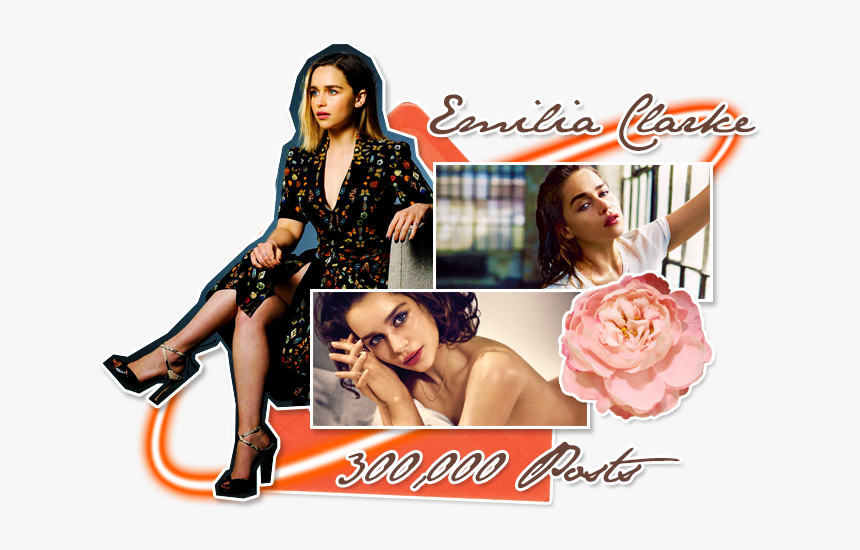 At The Emilia Clarke Board ♔ - Garden Roses, HD Png Download