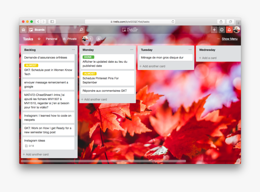 Trello Board With Tasks To Do For Every Day Of The - Newfoundland And Labrador Provincial Nominee Program, HD Png Download
