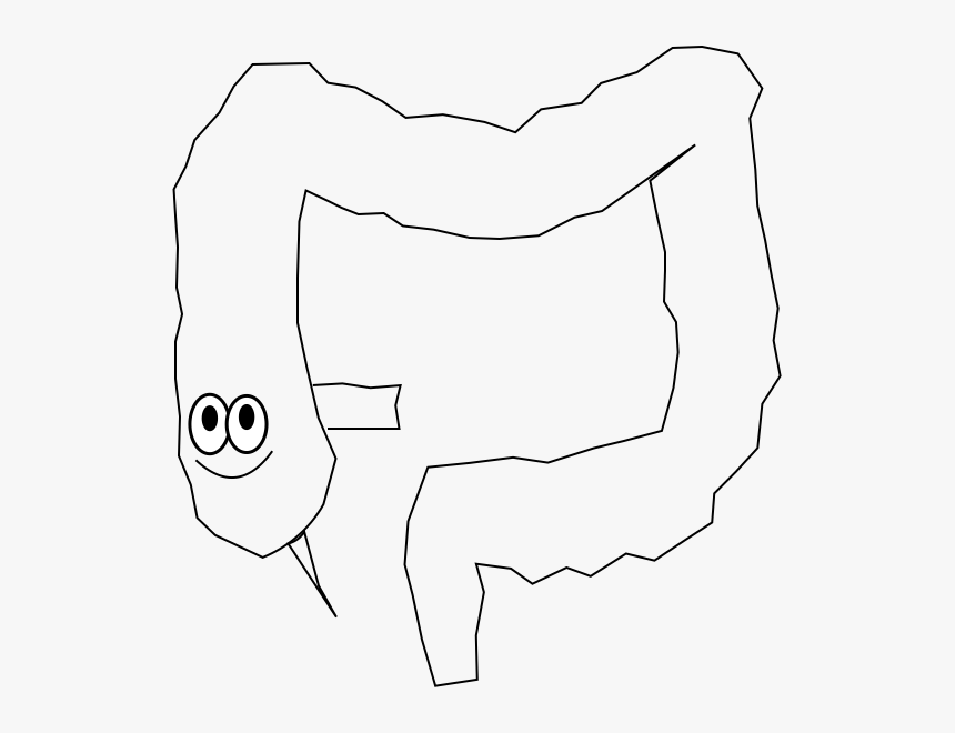 Line Art, HD Png Download