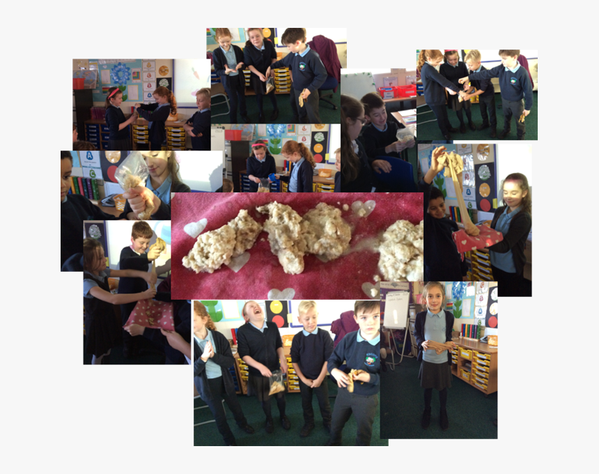 Collage, HD Png Download