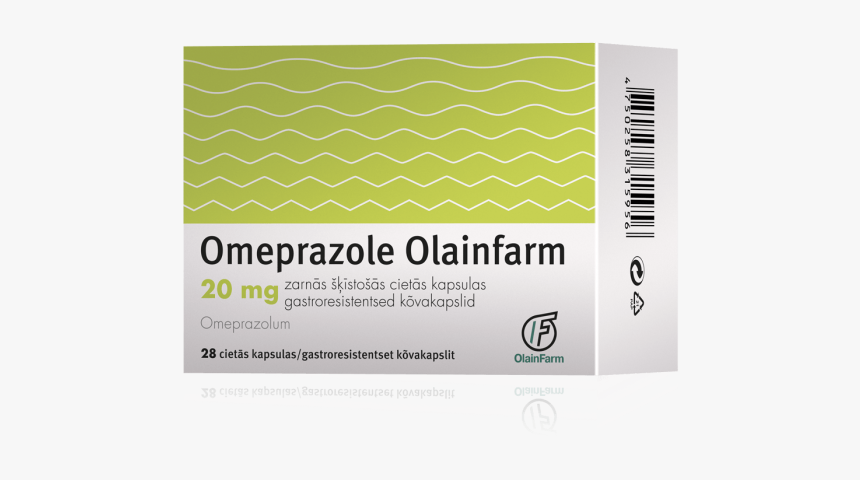 Digestive System Png, Transparent Png