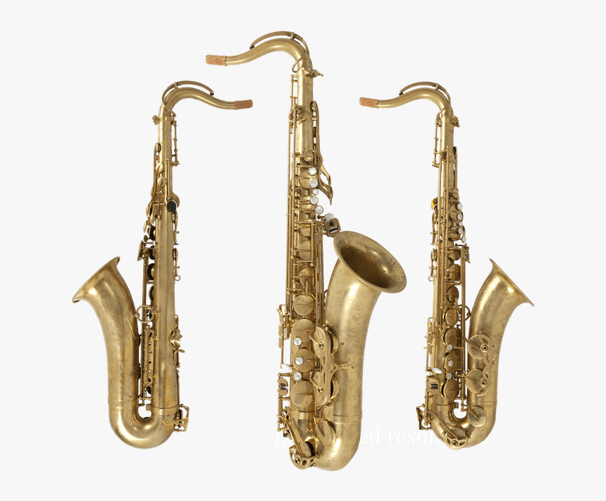 Clip Art Remy Saxophones Charlie S - Saxophones Png, Transparent Png