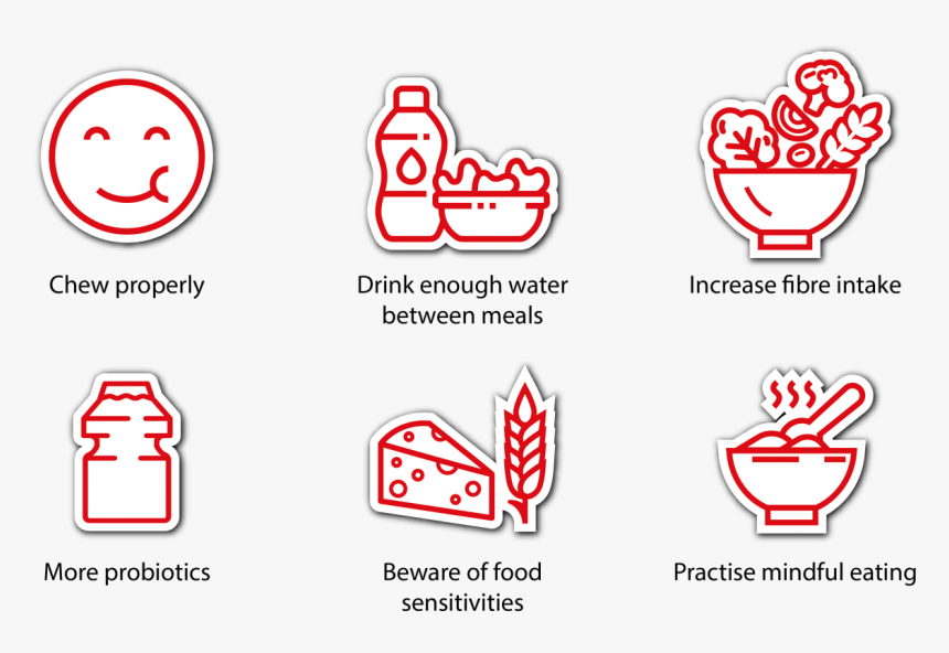 Digestive, HD Png Download