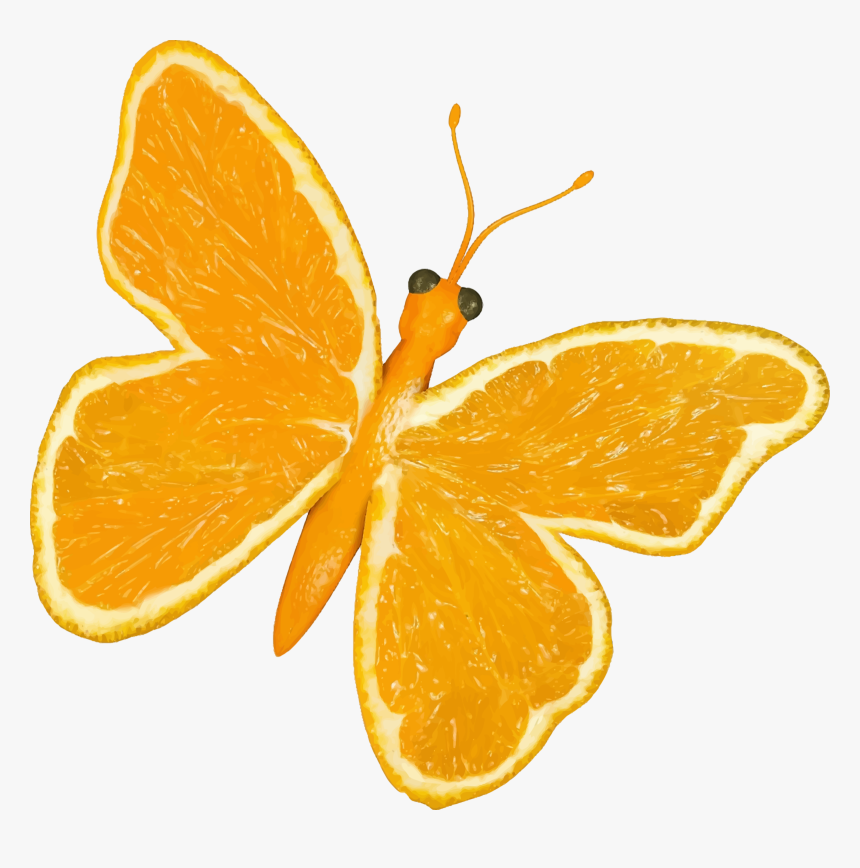Citrus Fruit Butterfly Clip Arts - Yellow Butterfly Cartoon, HD Png Download