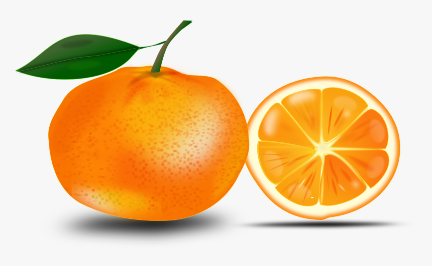 Orange Clipart, HD Png Download
