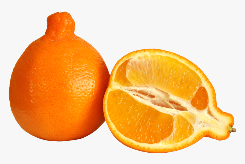 Minneola Orange , Transparent Cartoons - Tangerine Meaning In Urdu, HD Png Download