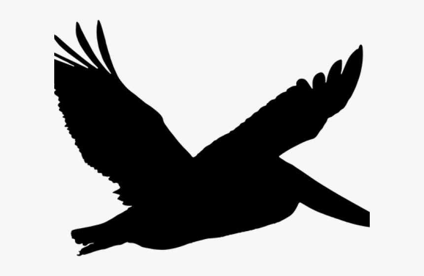 Transparent Dove Clipart Png - Silhouette Pelican Clipart, Png Download