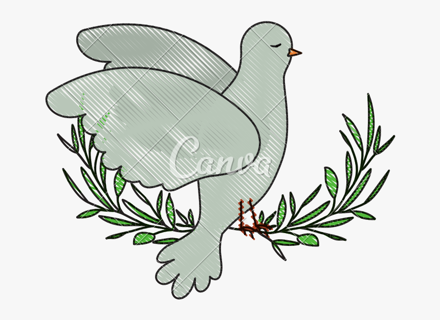 Dove Clipart Side View - Palomas A Lapiz, HD Png Download
