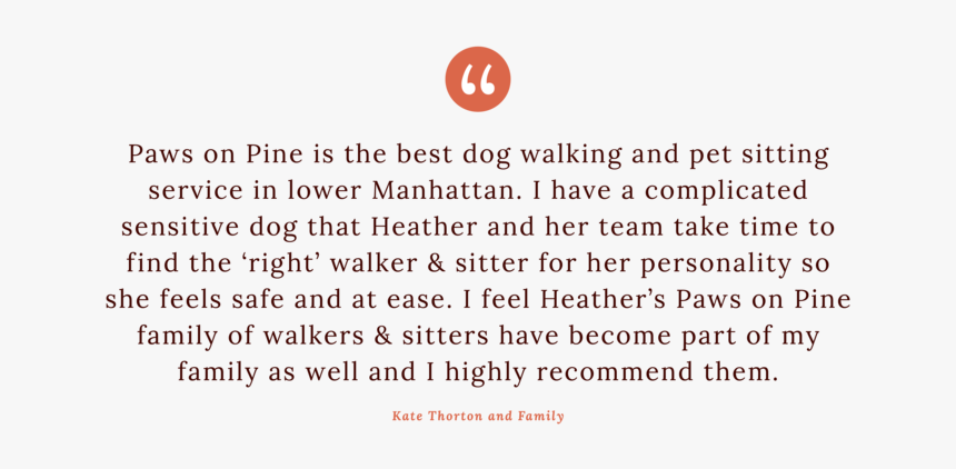 Quotes2 - Circle, HD Png Download