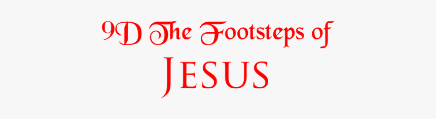 Colorfulness, HD Png Download