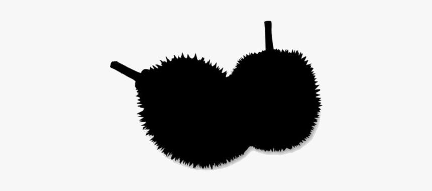 Durian Fruit Png, Transparent Durian Fruit Hd Wallpaper - Pulasan, Png Download