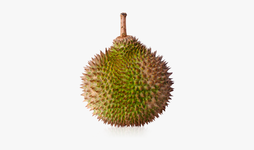 Transparent Durian Png, Png Download