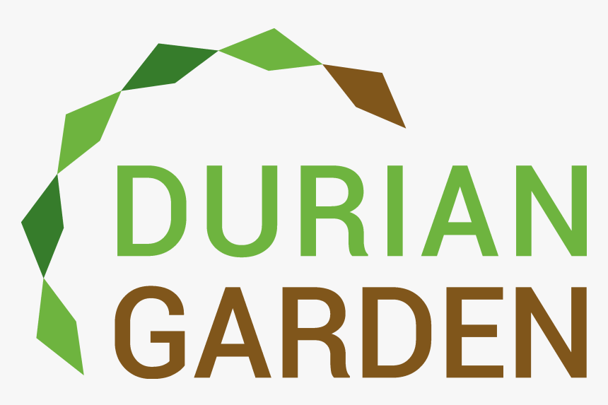 Durian Garden , Png Download - Durian, Transparent Png