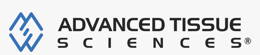 Parallel, HD Png Download