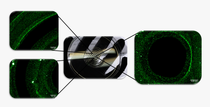 Tissue Png, Transparent Png
