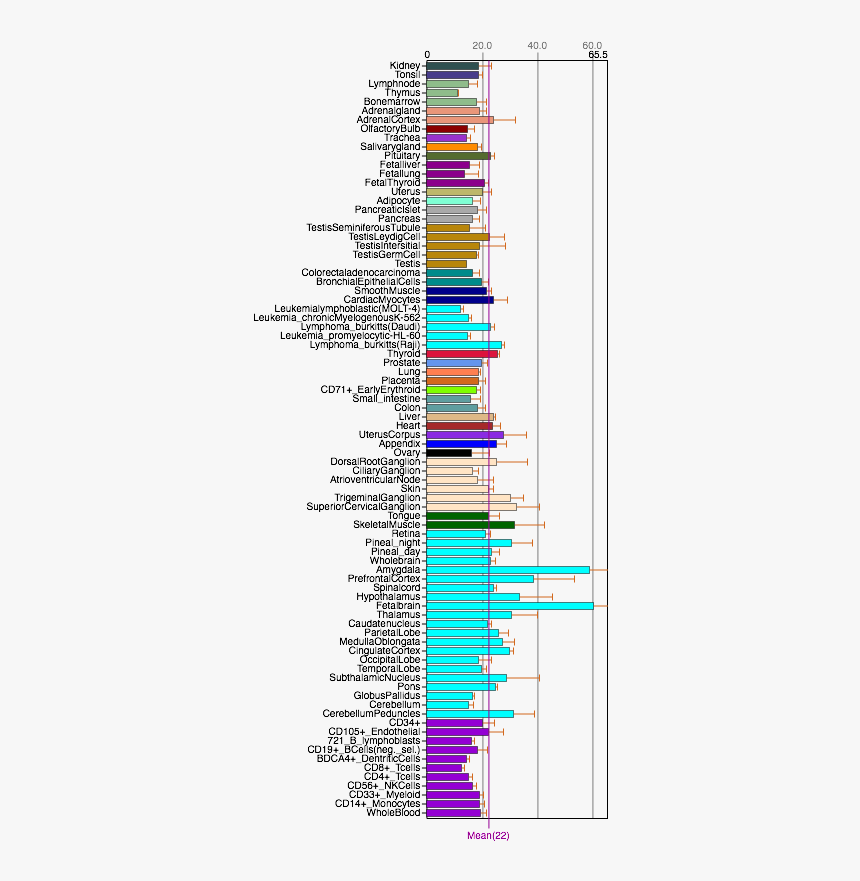 Fam188a Tissue Expression - Colorfulness, HD Png Download