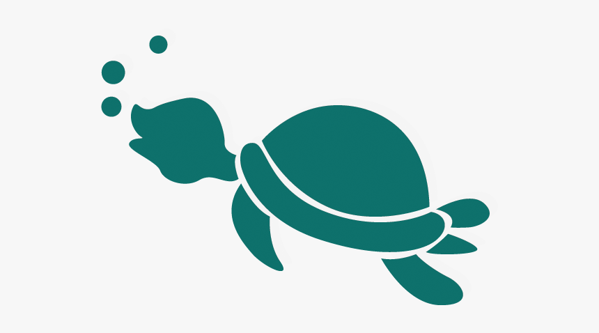 Cartoon Transparent Sea Turtle Png, Png Download