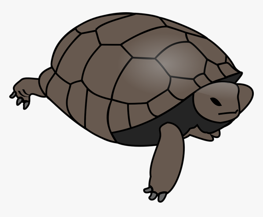 Turtle, Tortoise, Reptile, Huge, Water, Shell, Wildlife - Turtle Clipart Vector, HD Png Download