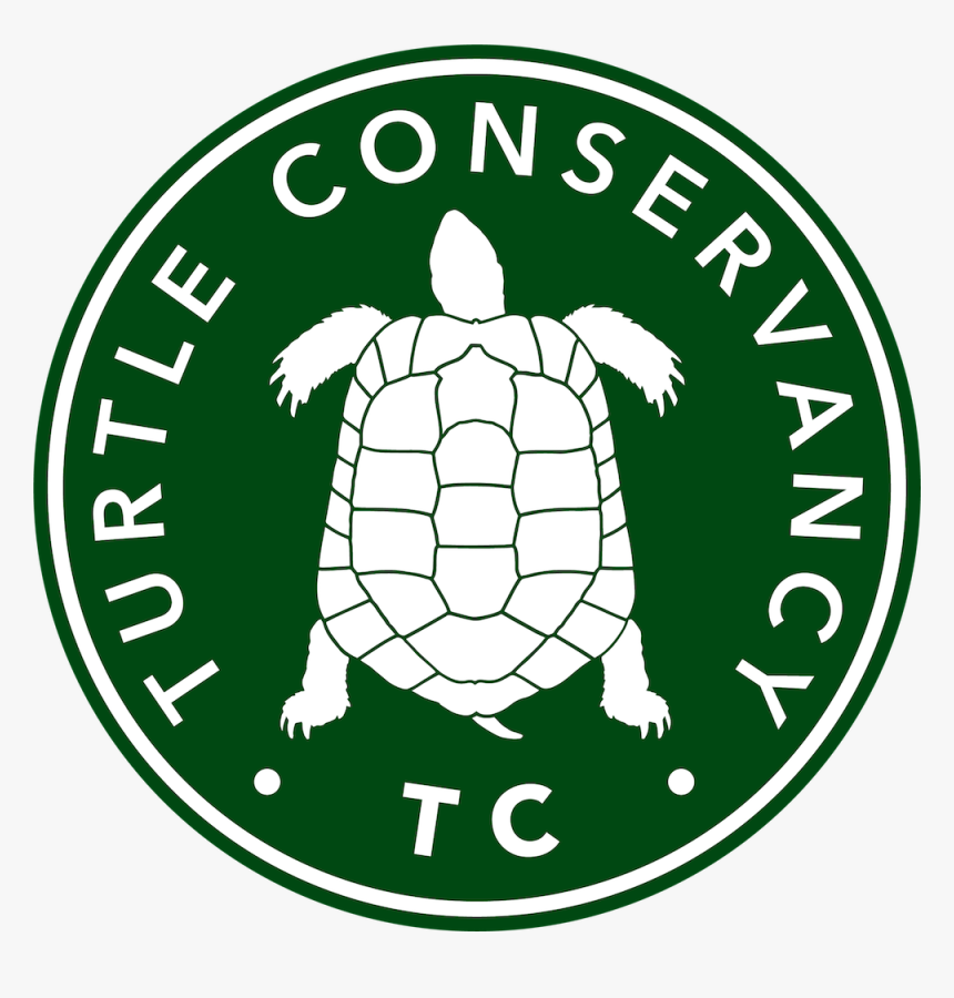 Tortoise Clipart Sick Turtle - Turtle Conservancy, HD Png Download