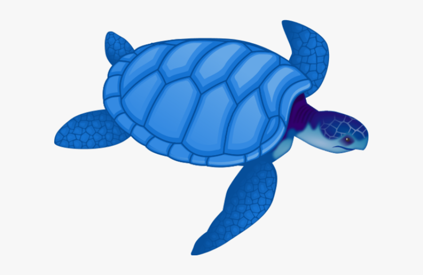Sea Turtle Clipart Blue, HD Png Download