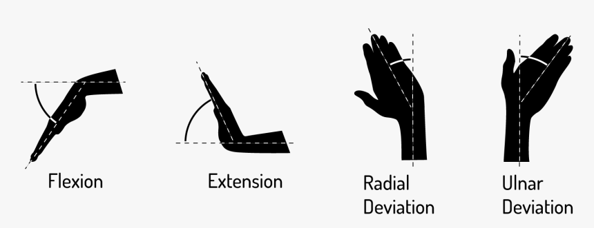 Current Designs Force The Hand To Conform To The Mouse - Illustration, HD Png Download