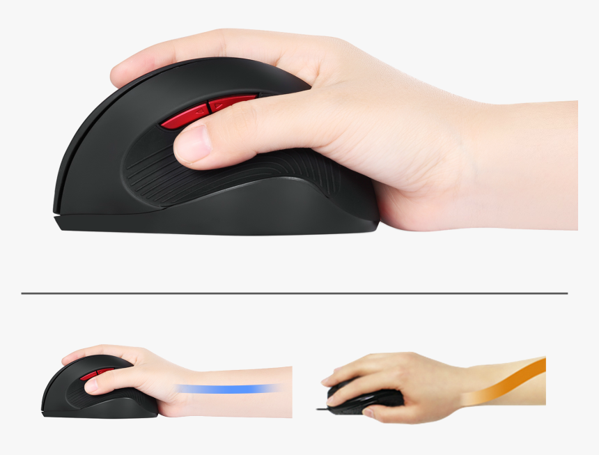 Mouse, HD Png Download