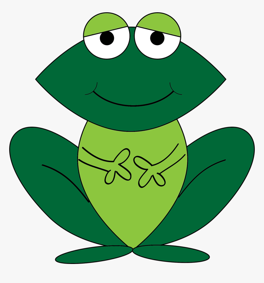 Amphibian, Animal, Cartoon, Cartoon Animals, Frog, - Cartoon Images Of Animal, HD Png Download