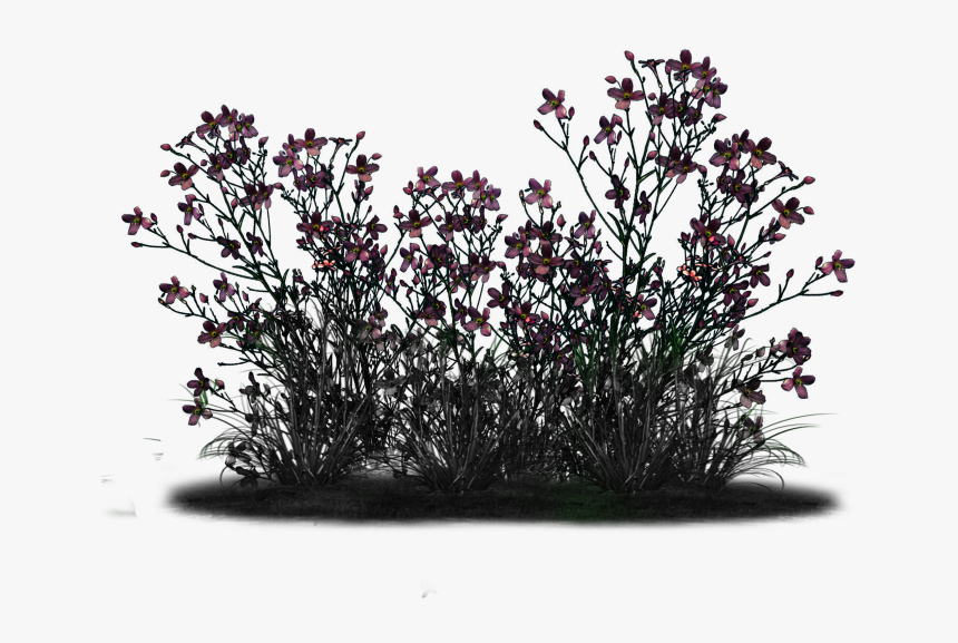 Magic Sparkles Fairy Dbj-pp - Smoketree, HD Png Download