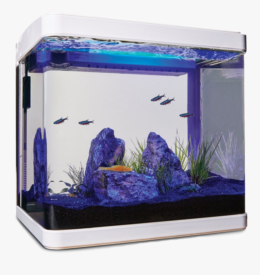 Aquarium Fish Tank Png Clipart - Imagitarium Freshwater Cube Aquarium Kit 5.2 Gal, Transparent Png
