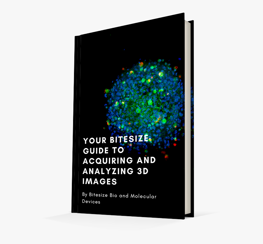 Subscribe Now And Get Your Free Guide - Graphic Design, HD Png Download