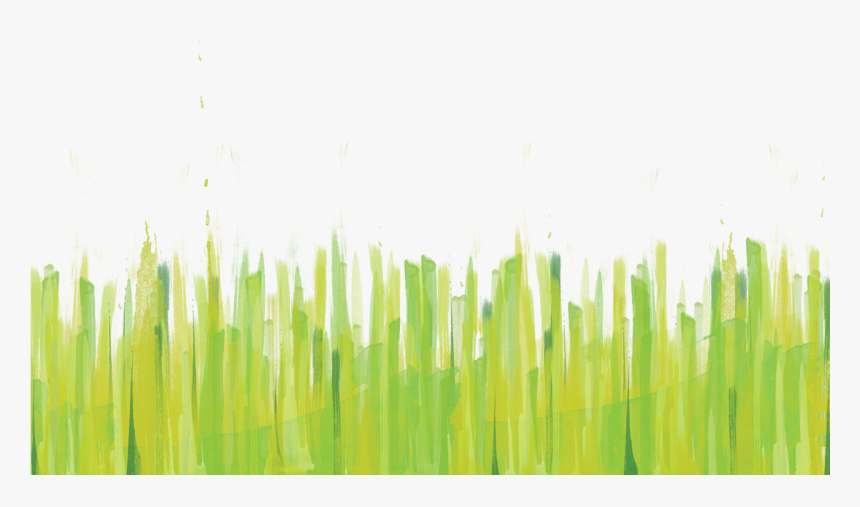 Hierochloe, HD Png Download