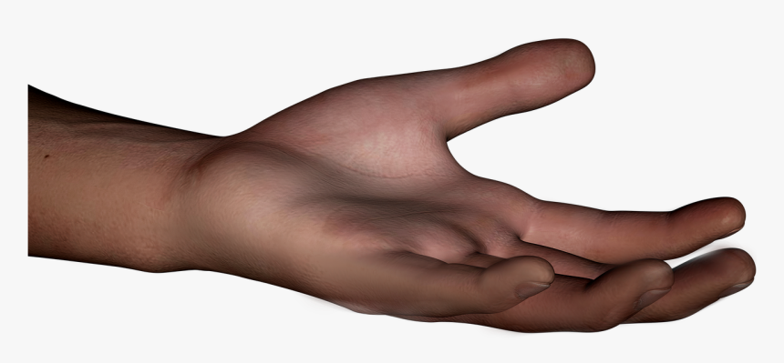 Mão Png, Transparent Png