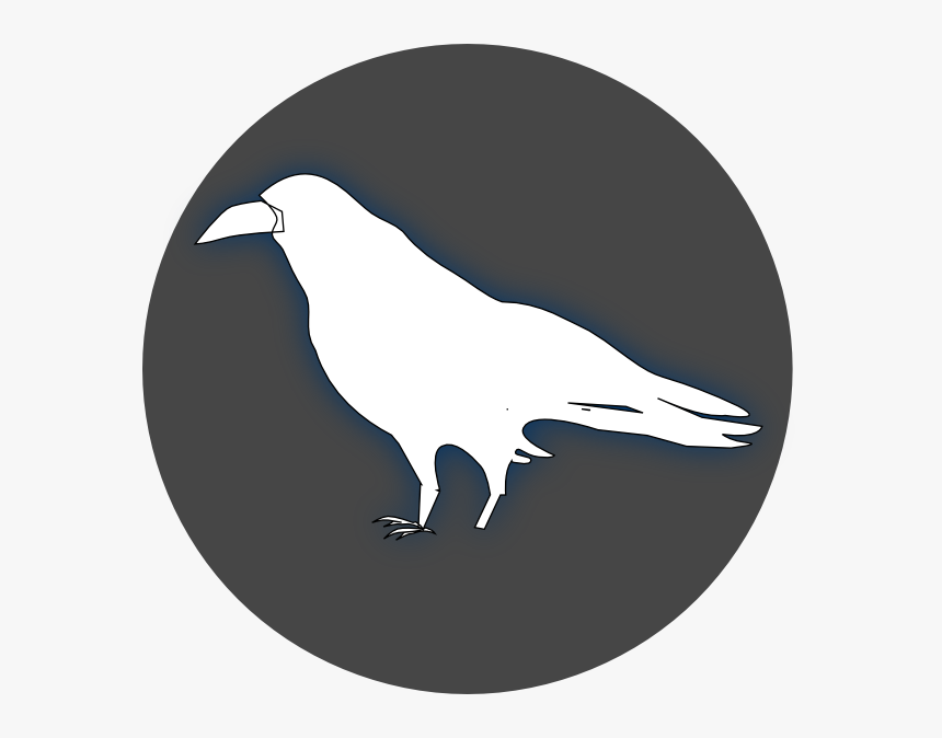 Common Raven Baltimore Ravens Drawing Clip Art - White Ravens Transparent Background, HD Png Download