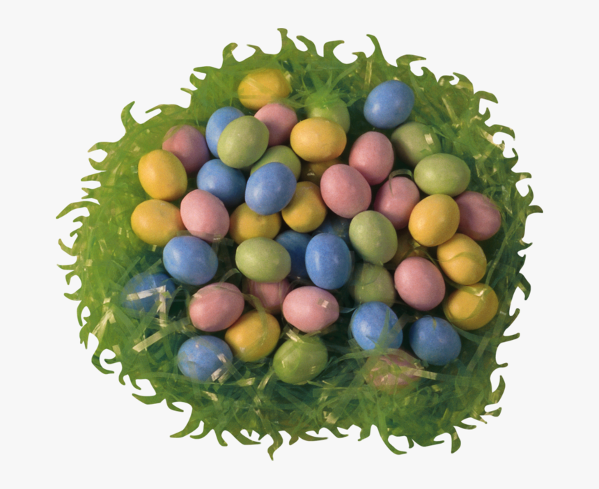 Egg, HD Png Download