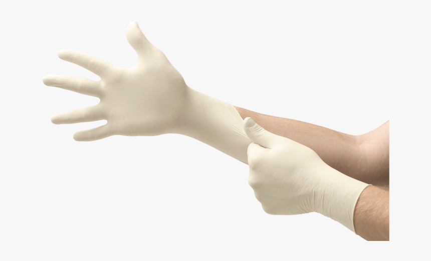 Donning Dental Gloves, HD Png Download