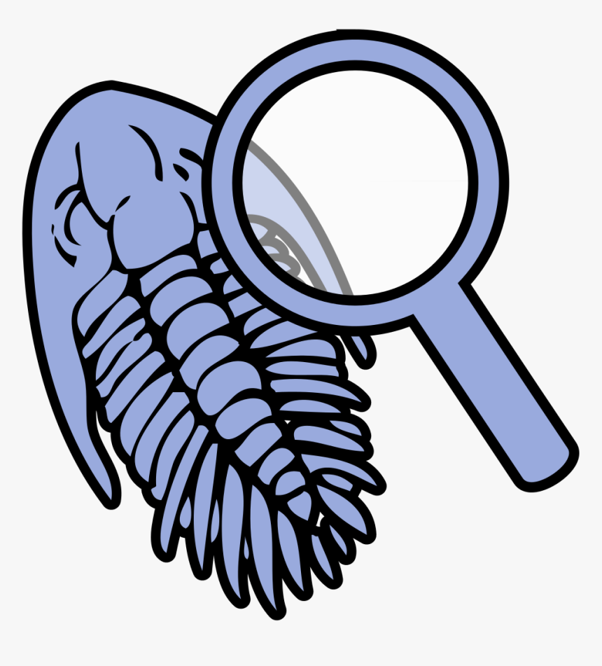Fossils Clip Art, HD Png Download