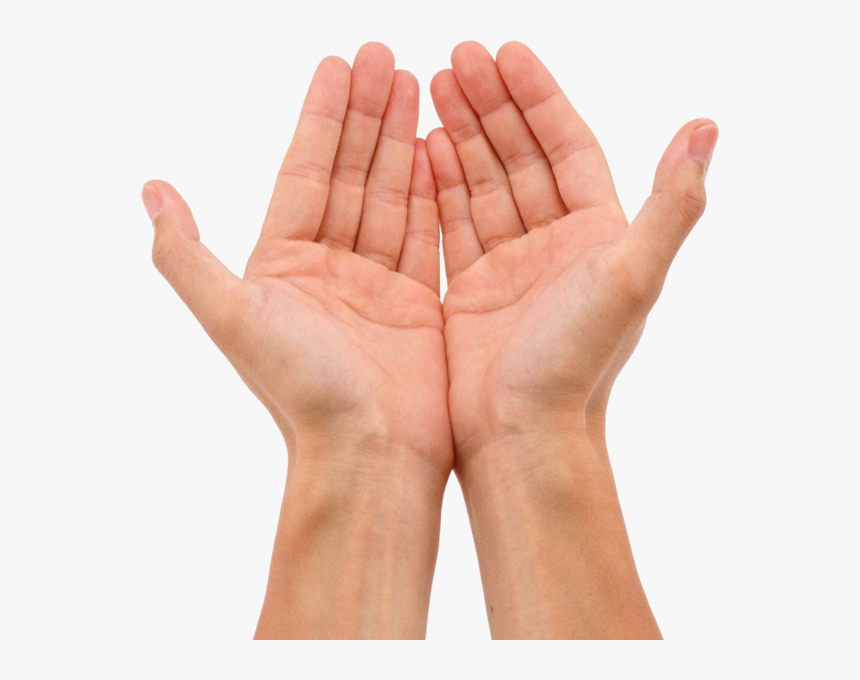Hands sol