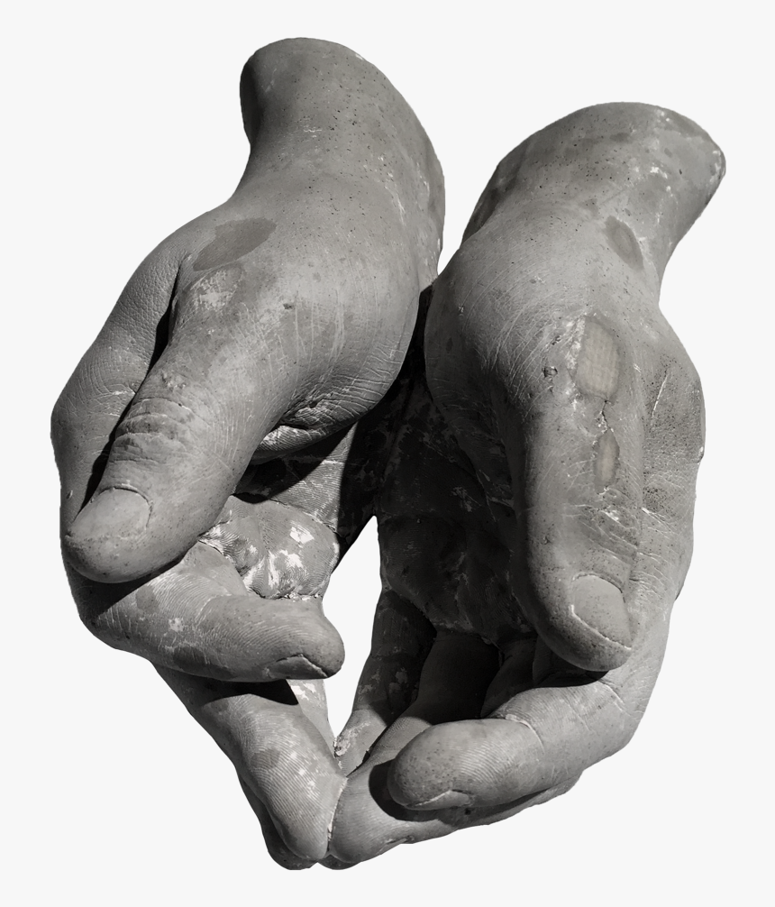 Hands-cupped1, HD Png Download