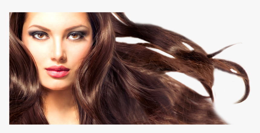 Created By A Stylist For Stylists - Hair Blowing, HD Png Download