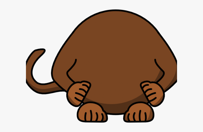 Free On Dumielauxepices Net Body - Monkey Body Clipart, HD Png Download