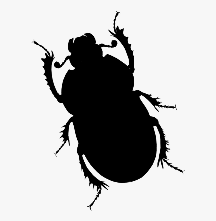 Beetle Silhouette Shower Curtain , Png Download - Illustration, Transparent Png