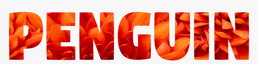 Textframe - Graphic Design, HD Png Download