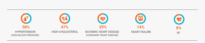 Circle, HD Png Download