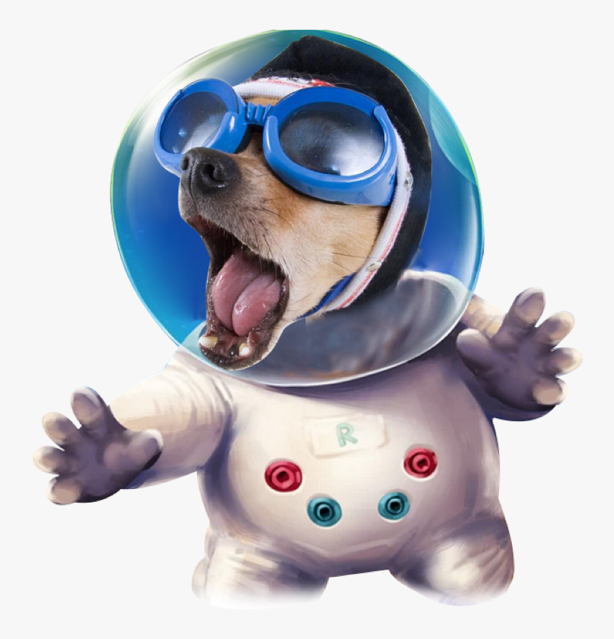 #ftestickers #astronaut #space #funny #dog #freetoedit - Funny Hd Image Download, HD Png Download
