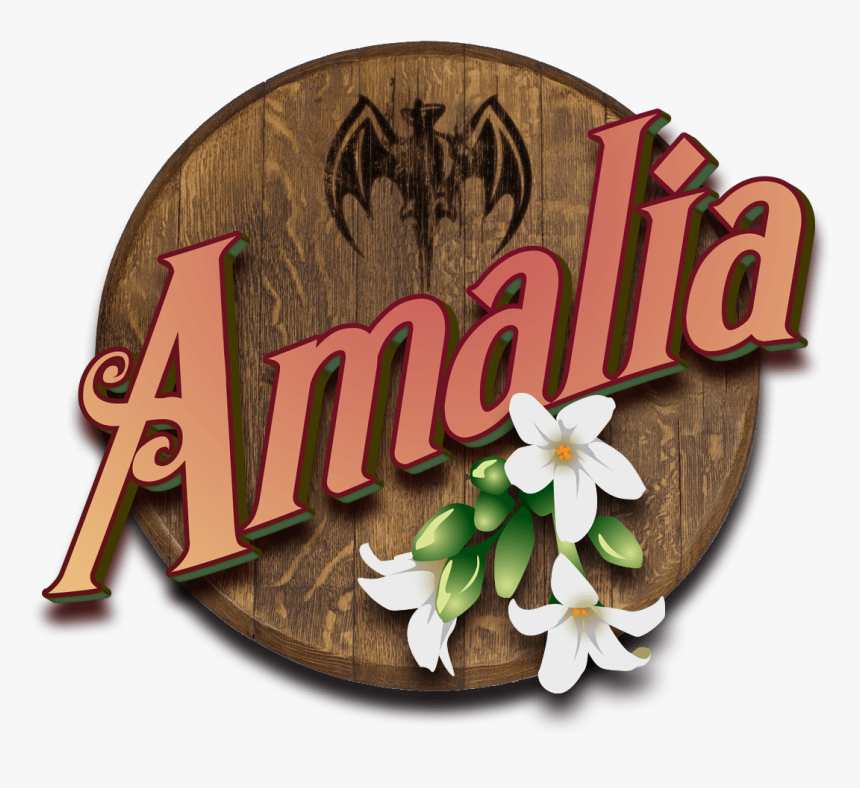 Jasmine, HD Png Download