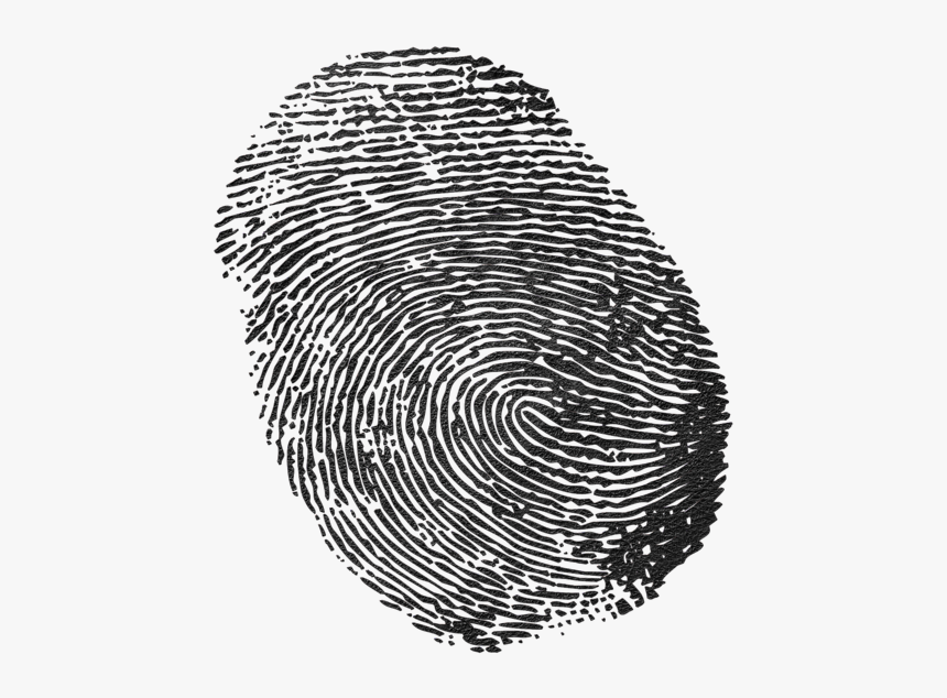 Transparent Background Fingerprint Png, Png Download